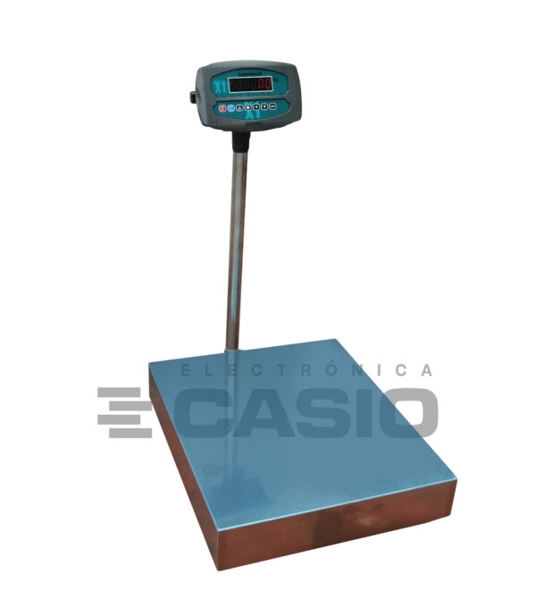 BALANZA DE PISO 60X50 HIERRO X1